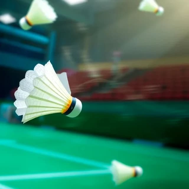Shuttlecock in flight over a badminton court